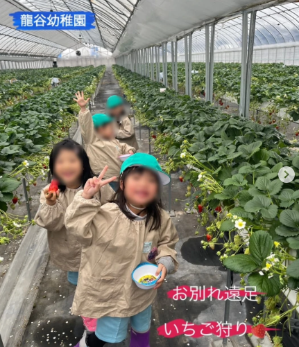 春の園外保育